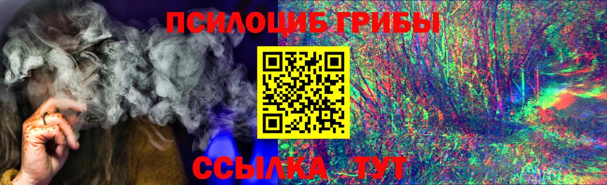 Галлюциногенные грибы мицелий  купить  сайты  Псилоцибиновые грибы ЛСД  Малгобек  Вход с VPN 